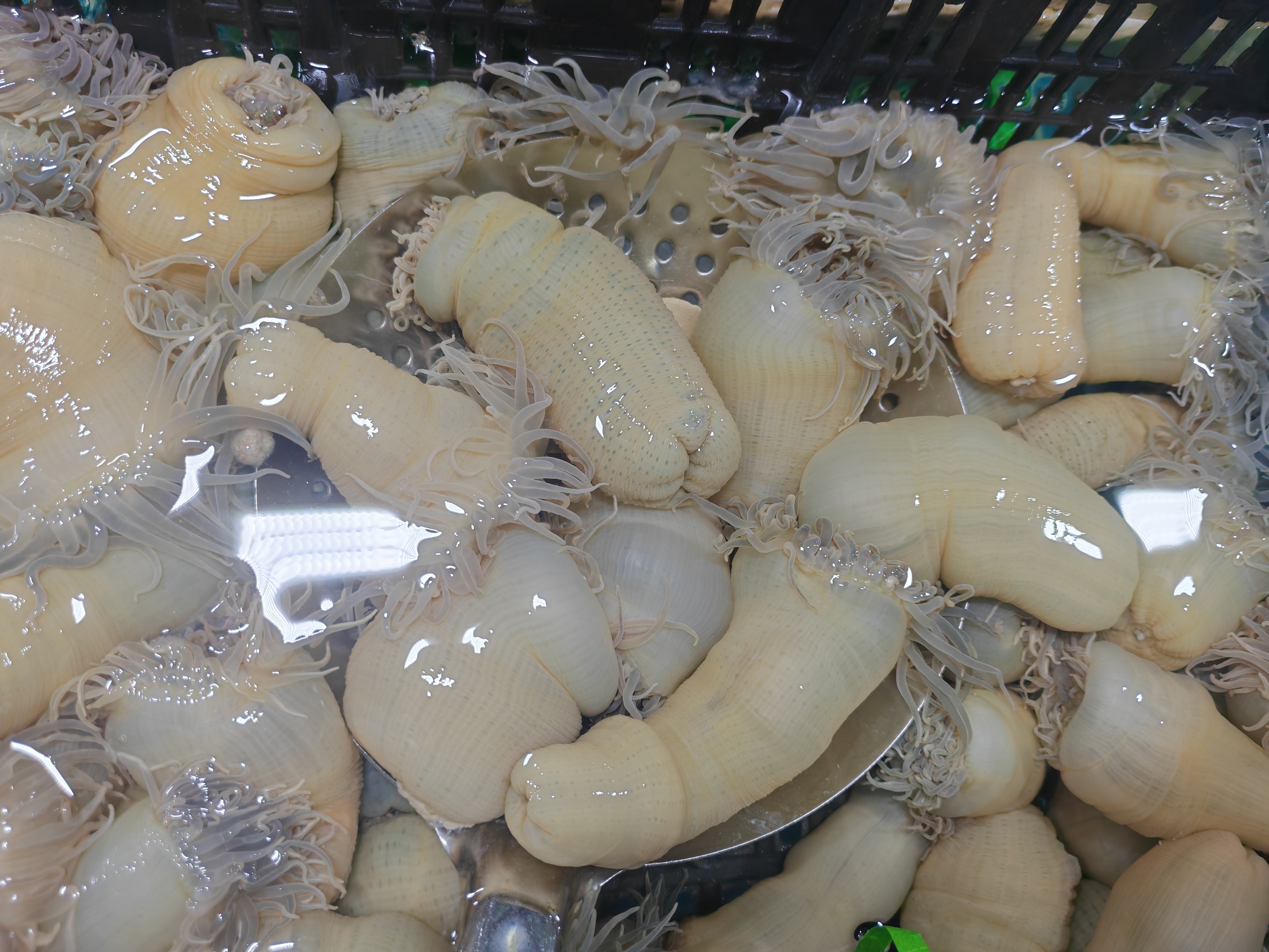 美味 