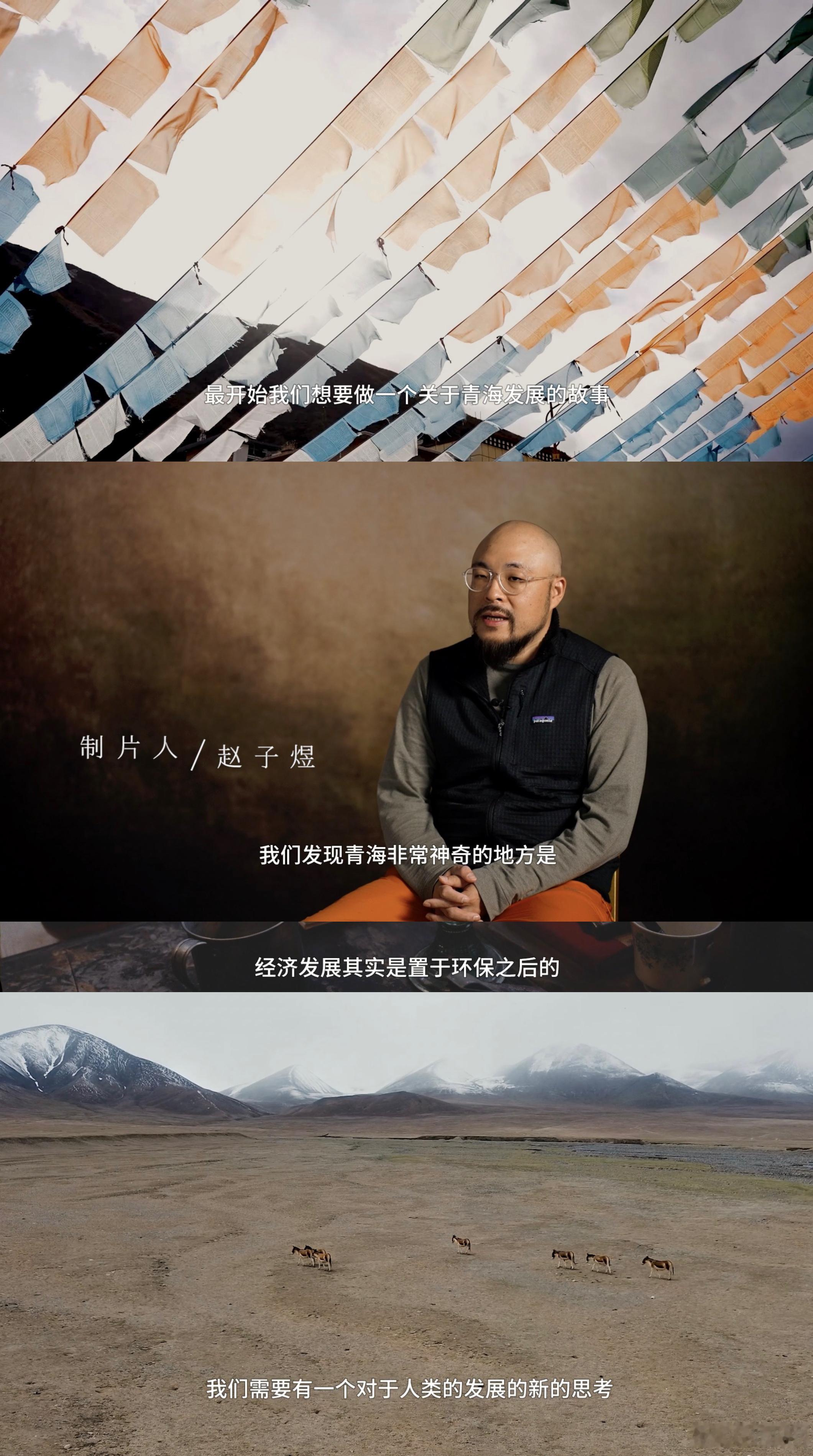 终于有国产剧拍了高原反盗猎了 高原反盗猎之路满是荆棘，白菊们始终坚持追查线索，老