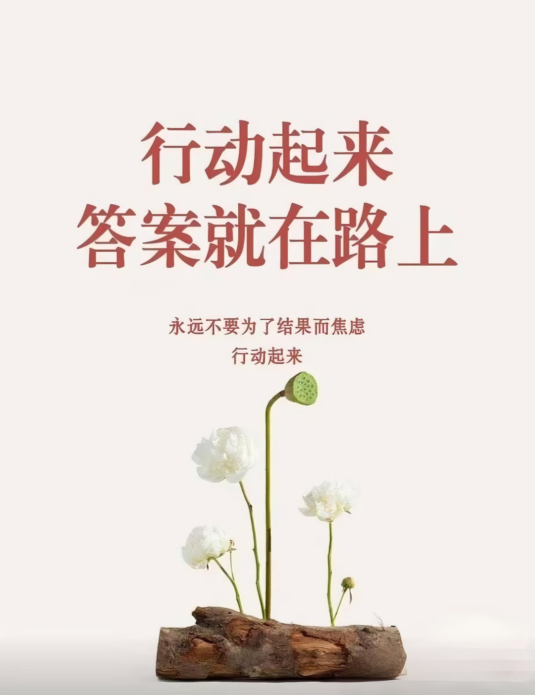 顺着光的方向奔跑、追赶、飞驰做自己那个永不黯淡的小太阳​今日愉快 ​​​