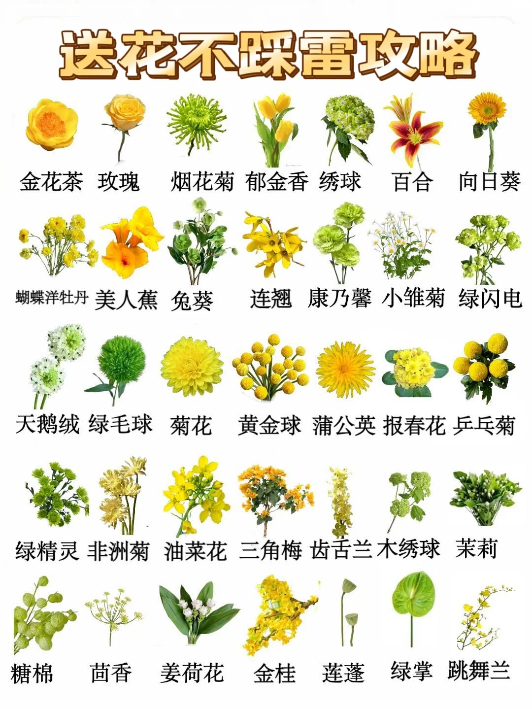 送花不踩雷攻略💯新手必备奶油色插花技能