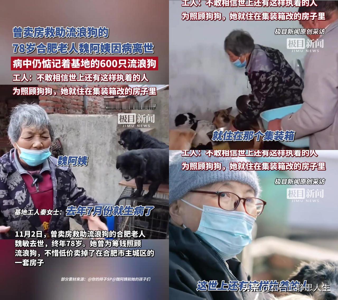 合肥的魏阿姨，干了件邻居都觉得傻的事，卖了市区的房子，在郊外集装箱住了10年。
