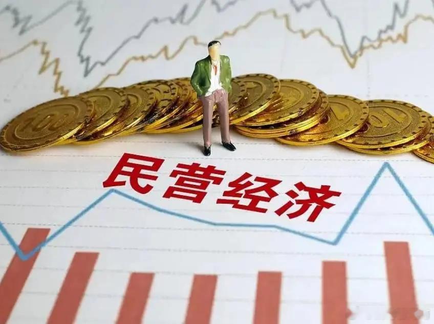 5月20日起，民营经济促进法正式施行。作为第一部专门关于民营经济发展的基础性法律