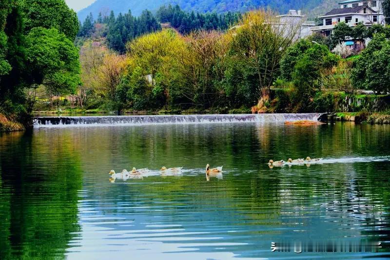 下联：？ 看到“悠悠碧水环千岭”这个上联，瞬间感觉画面感拉满，碧水悠悠，环绕着座