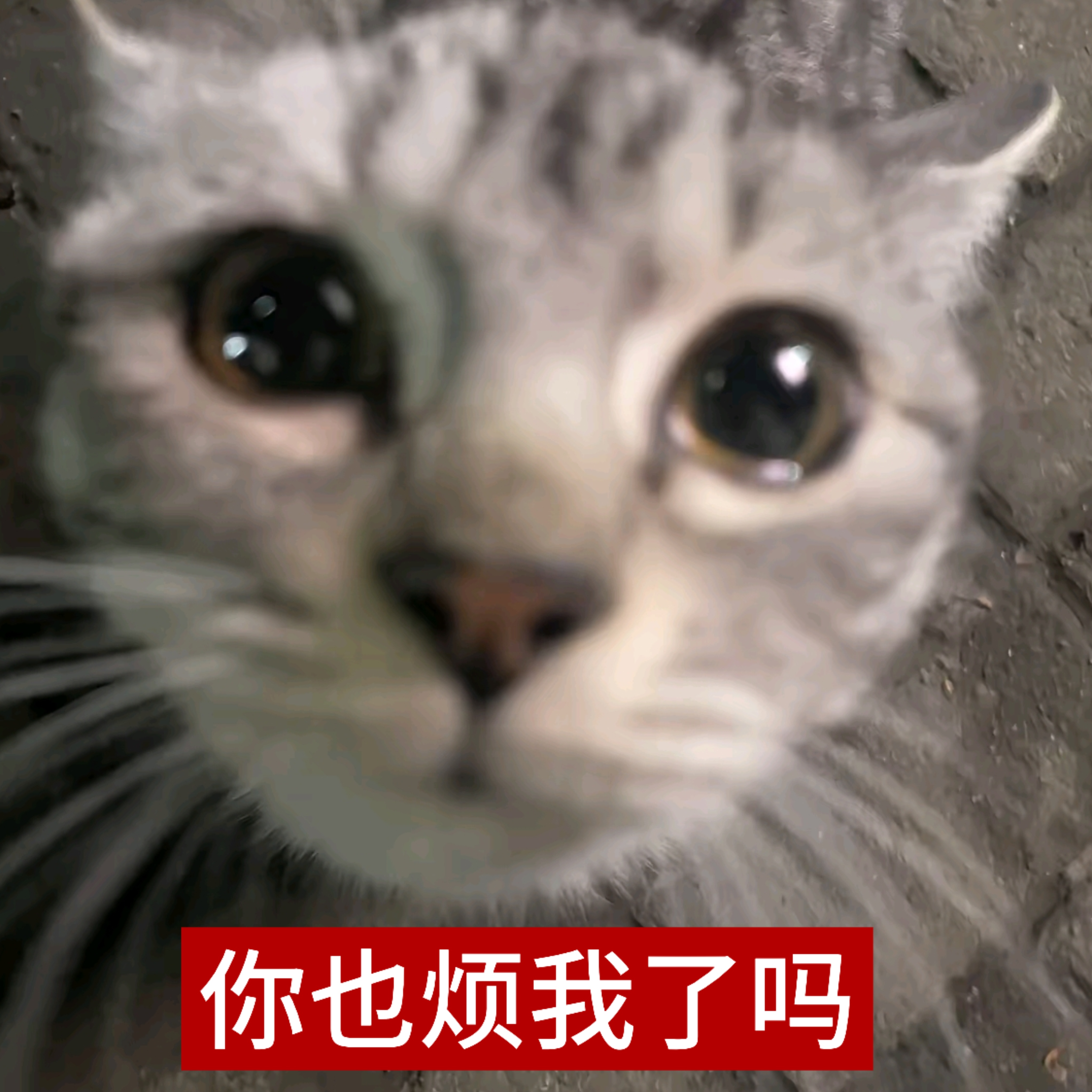 微博你再限流我我就抛弃你了