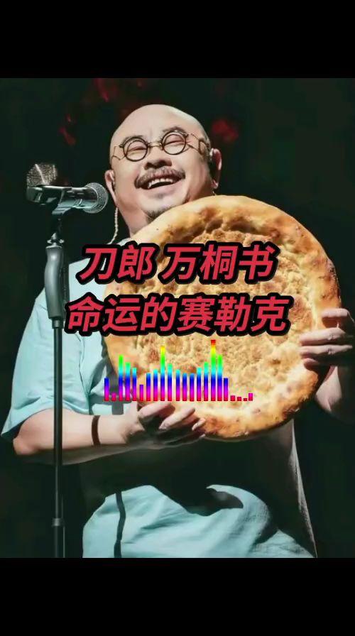 刀郎新歌上线了万桐书 命运的赛勒克 治愈系音乐 @刀郎