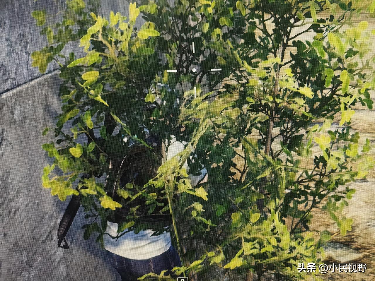 西方与中国对战争的观点不同。西方秉持海盗式战争观念，认为发动战争理所当然，无需太