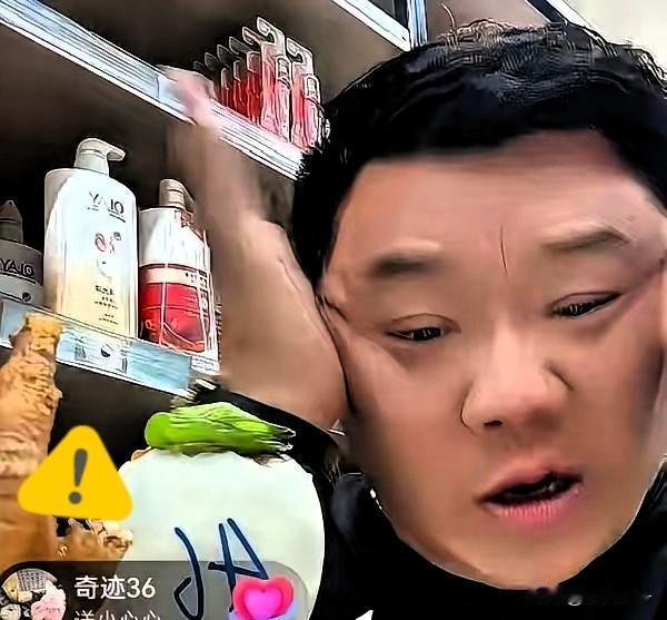 无锡“婚外胚胎案”又出续集了。原配朱女士刚追回86万，渣男和小三转头就干起来了。