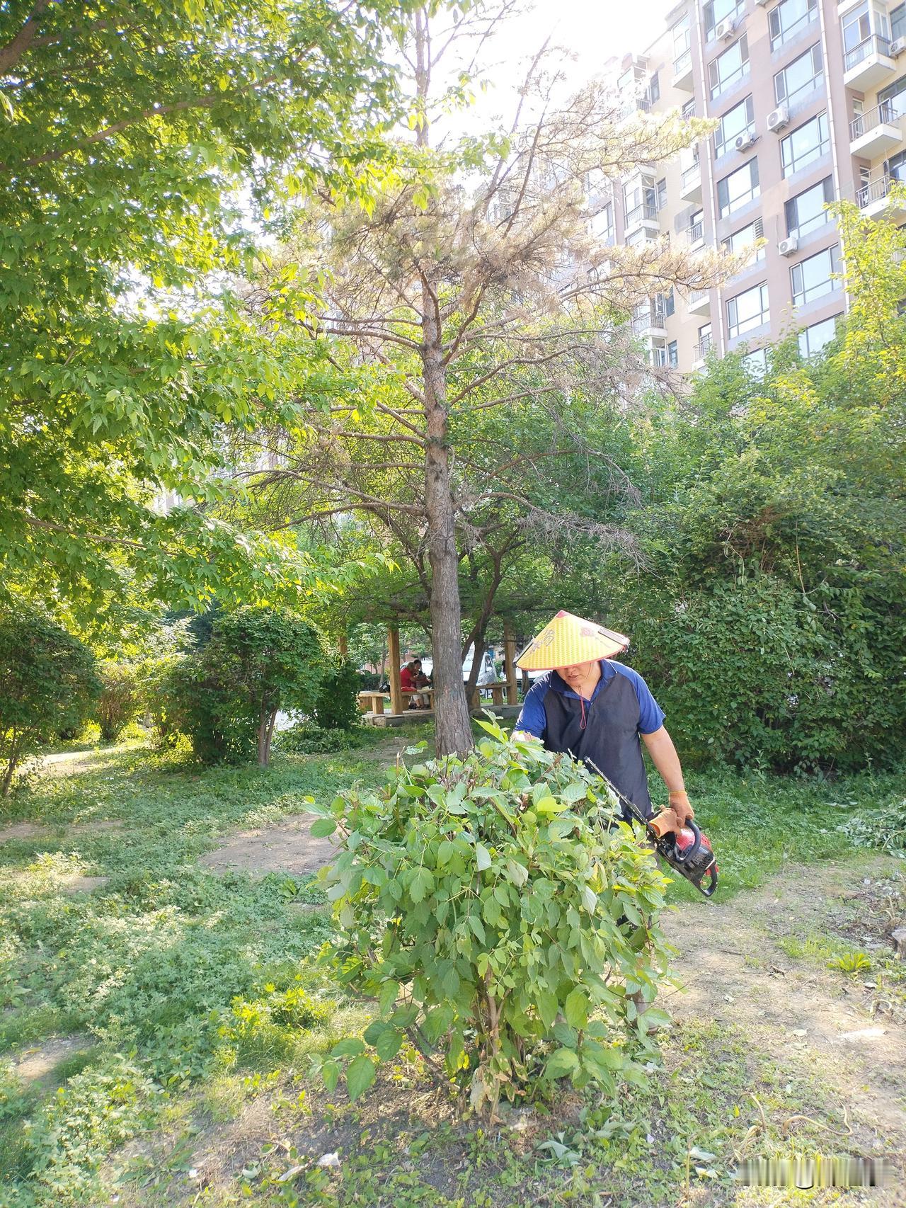 夏天酷热时，喜欢空调还是风扇？这两样我都不喜欢。我喜欢的是自然风。
  空调和风