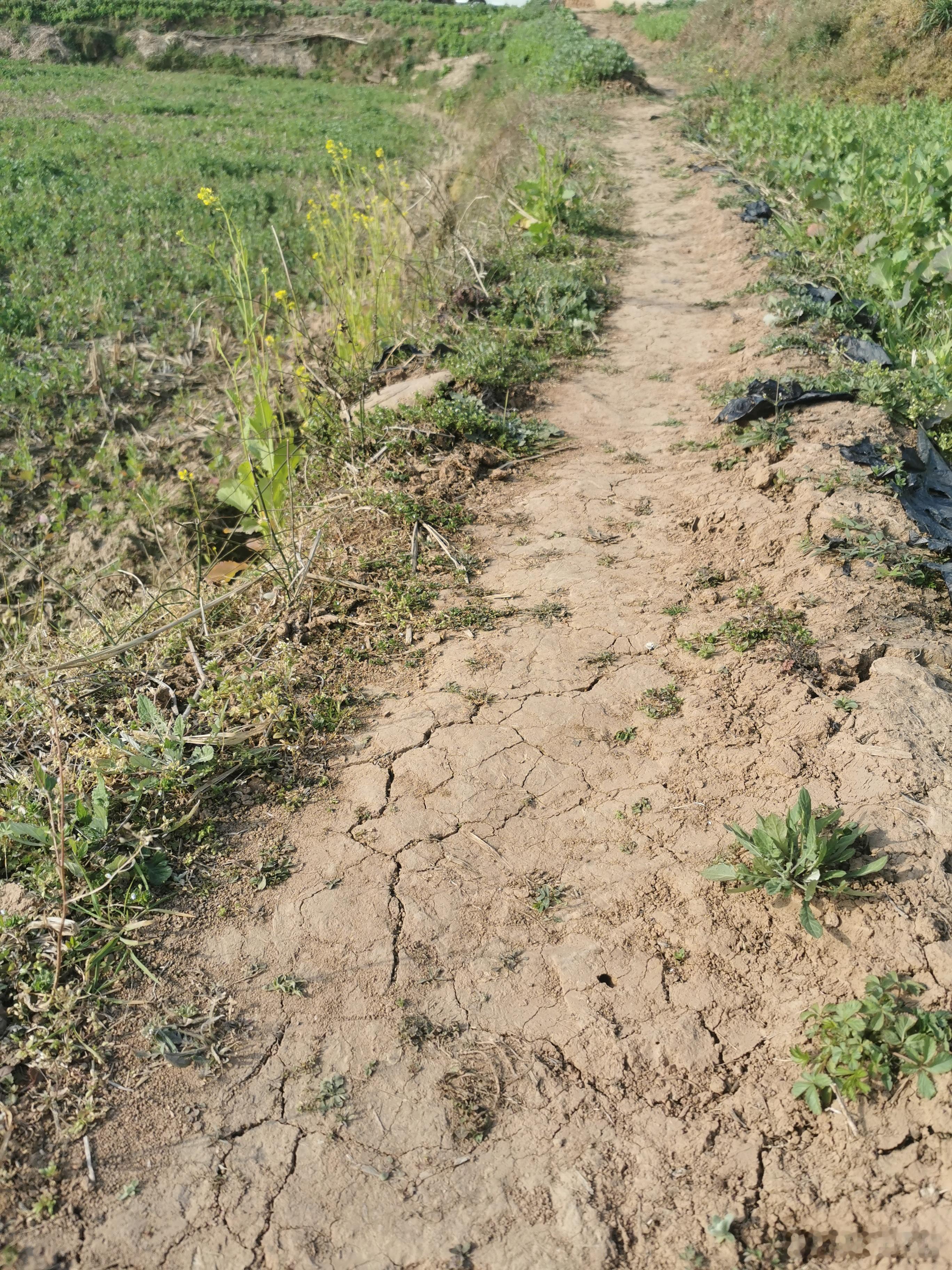 复盘：这会儿空闲点，复盘一下。电力亏损，但有分红，只要股价横盘，能回来。去年大资