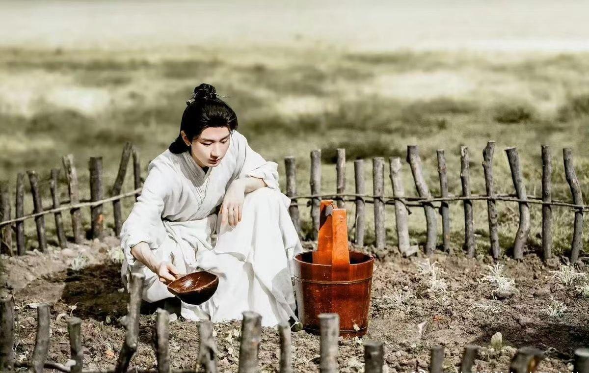 电视剧莲花楼[超话]成毅莲花楼爱奇艺超208万人打分 落花时节又逢君！ ​​​