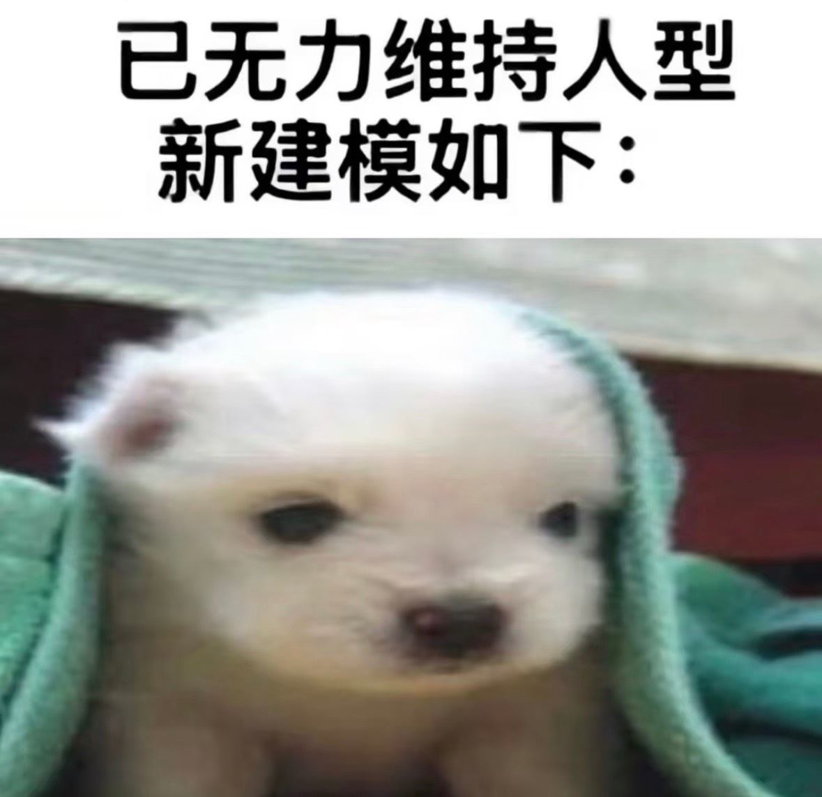 分享图片 