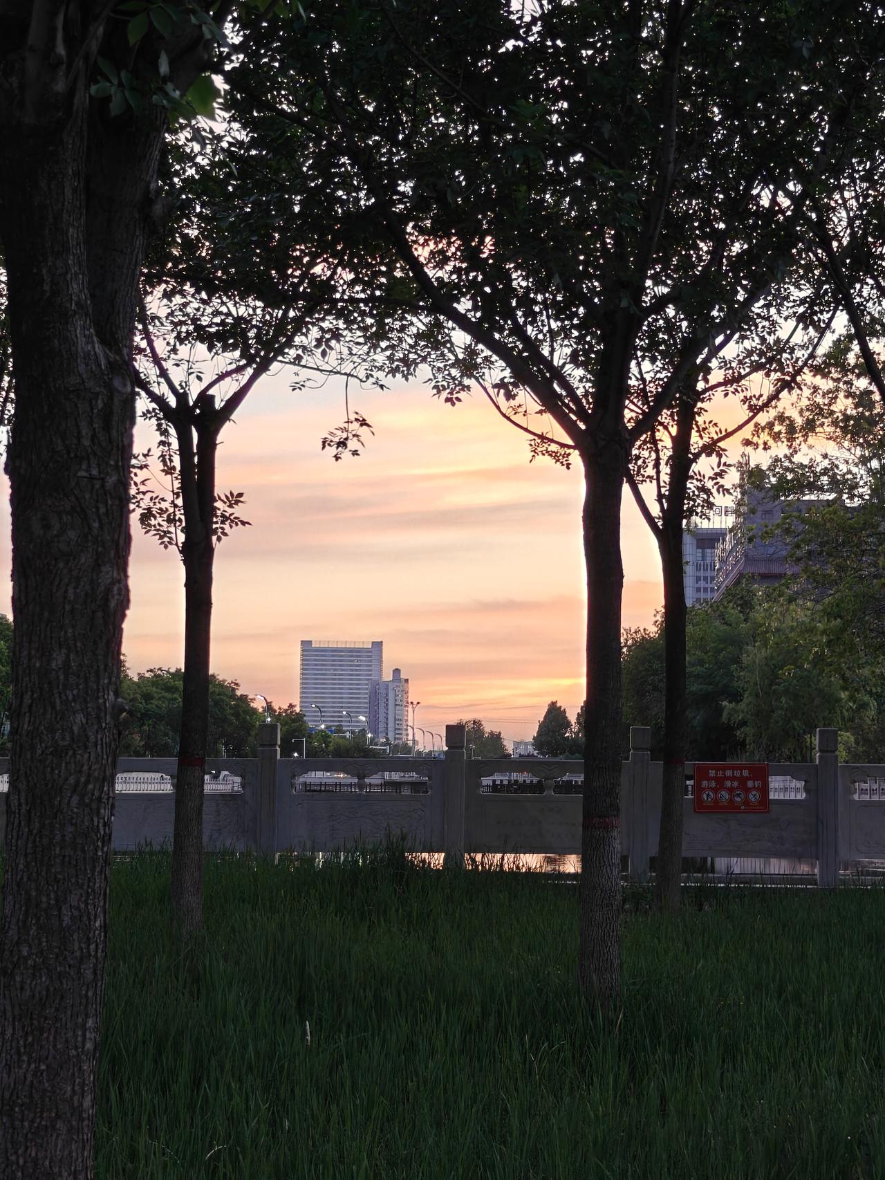 记录我的2026两天一夜的细雨蒙蒙，不仅滋润了大地，还将满天飞舞的杨絮柳絮没有了
