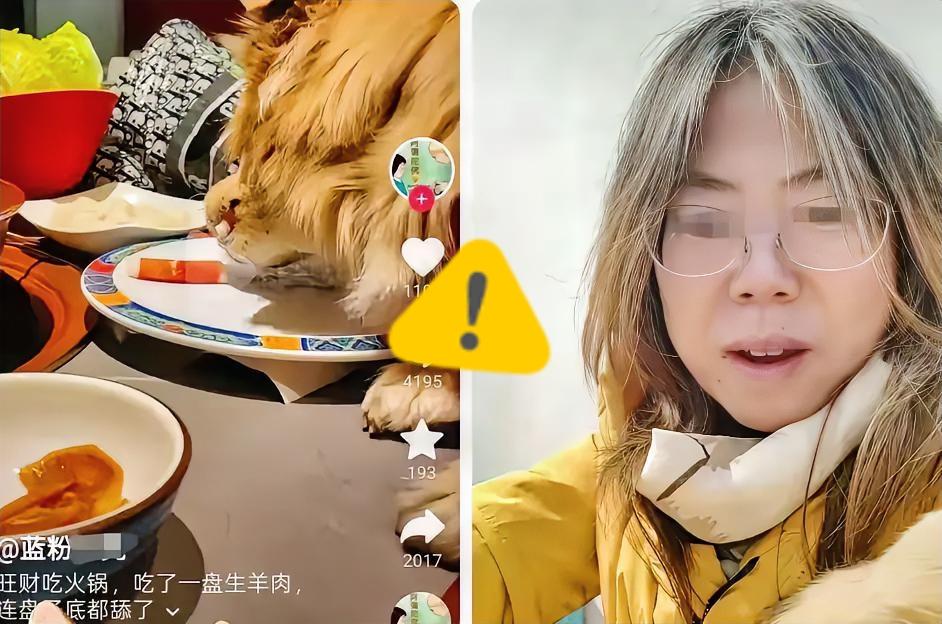 南门刷肉估计悔的肠子都青了
不是因为没阻止狗舔盘子
也不是1倍赔偿当日用餐的食客