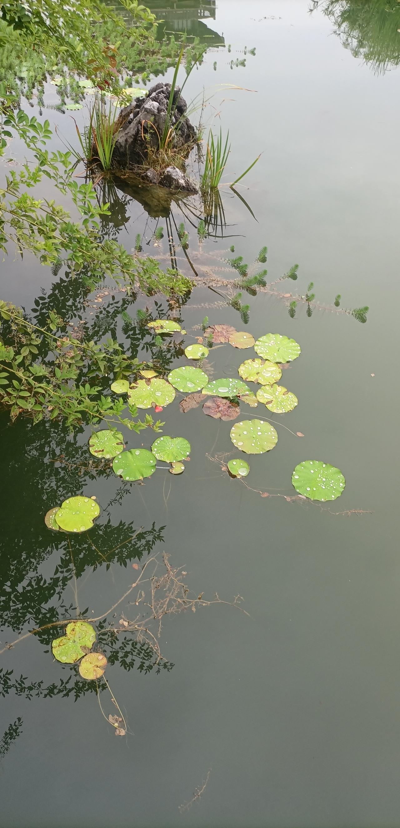 【人世间·什么是真正的情谊？】真心话茶局
人是社会性的人。
人活在世上，除过亲情