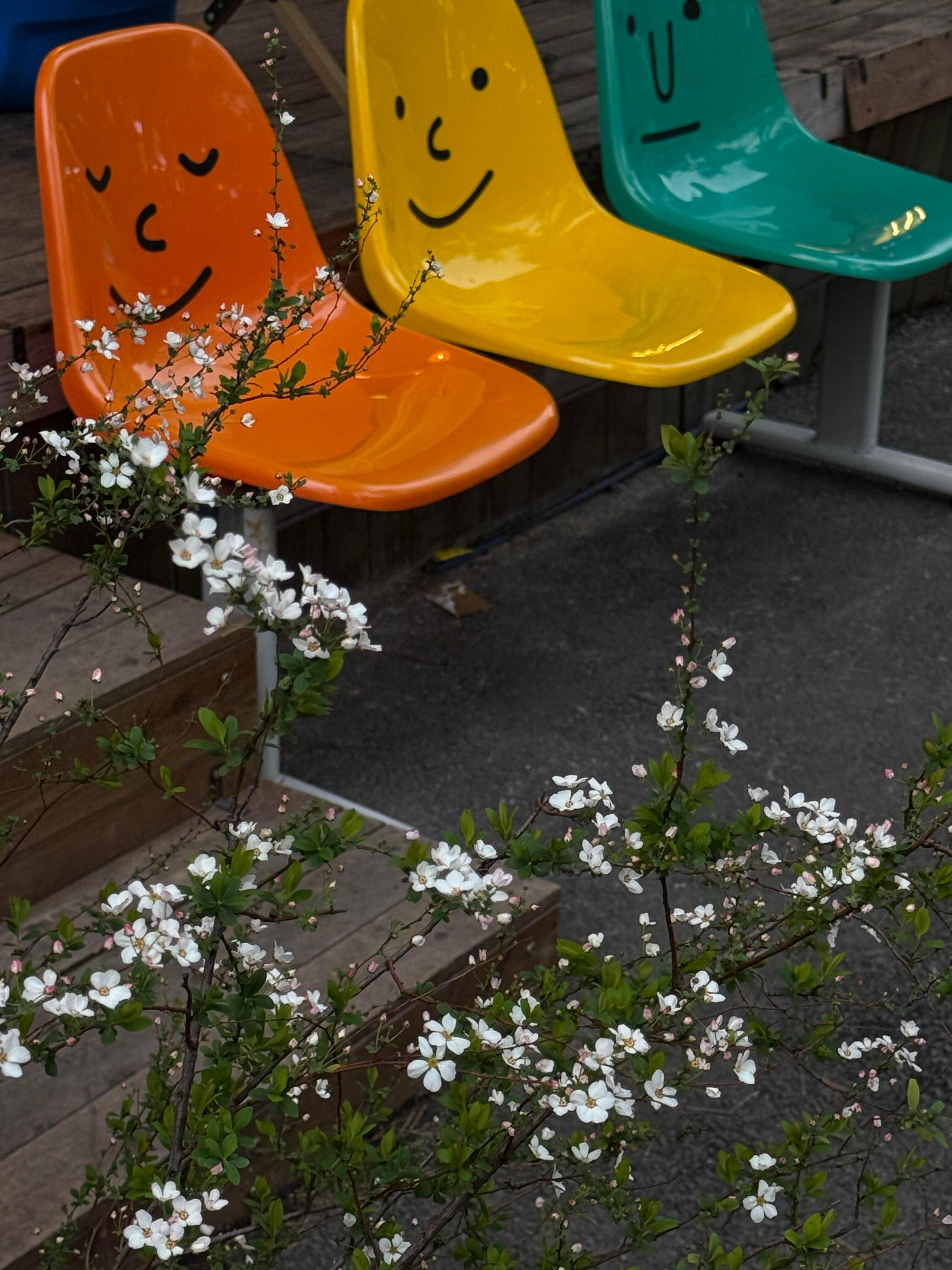 镜头里的美好永驻⊹ 🐾" ◌◞ 🐕𓂂𓏸 