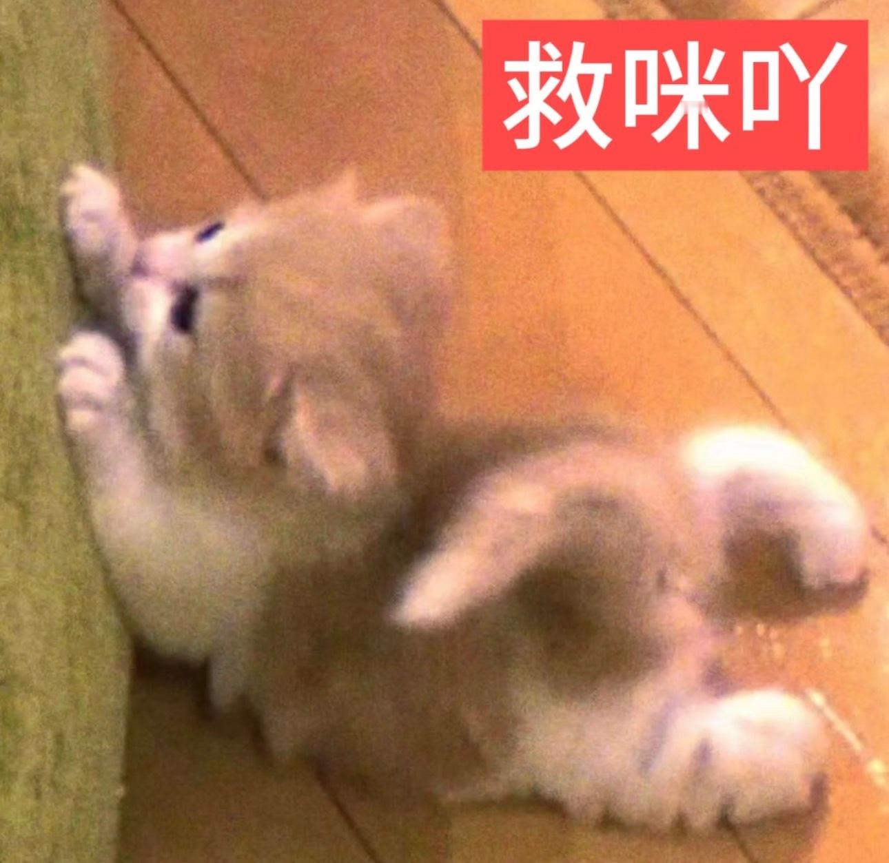 签到不中嘞‼️速来切浩签到！！！ 