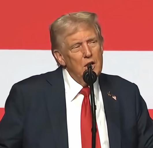 中美关系紧张不断，特朗普上台后对台政策反复无常。美方在美国国务院官方网站上删除了