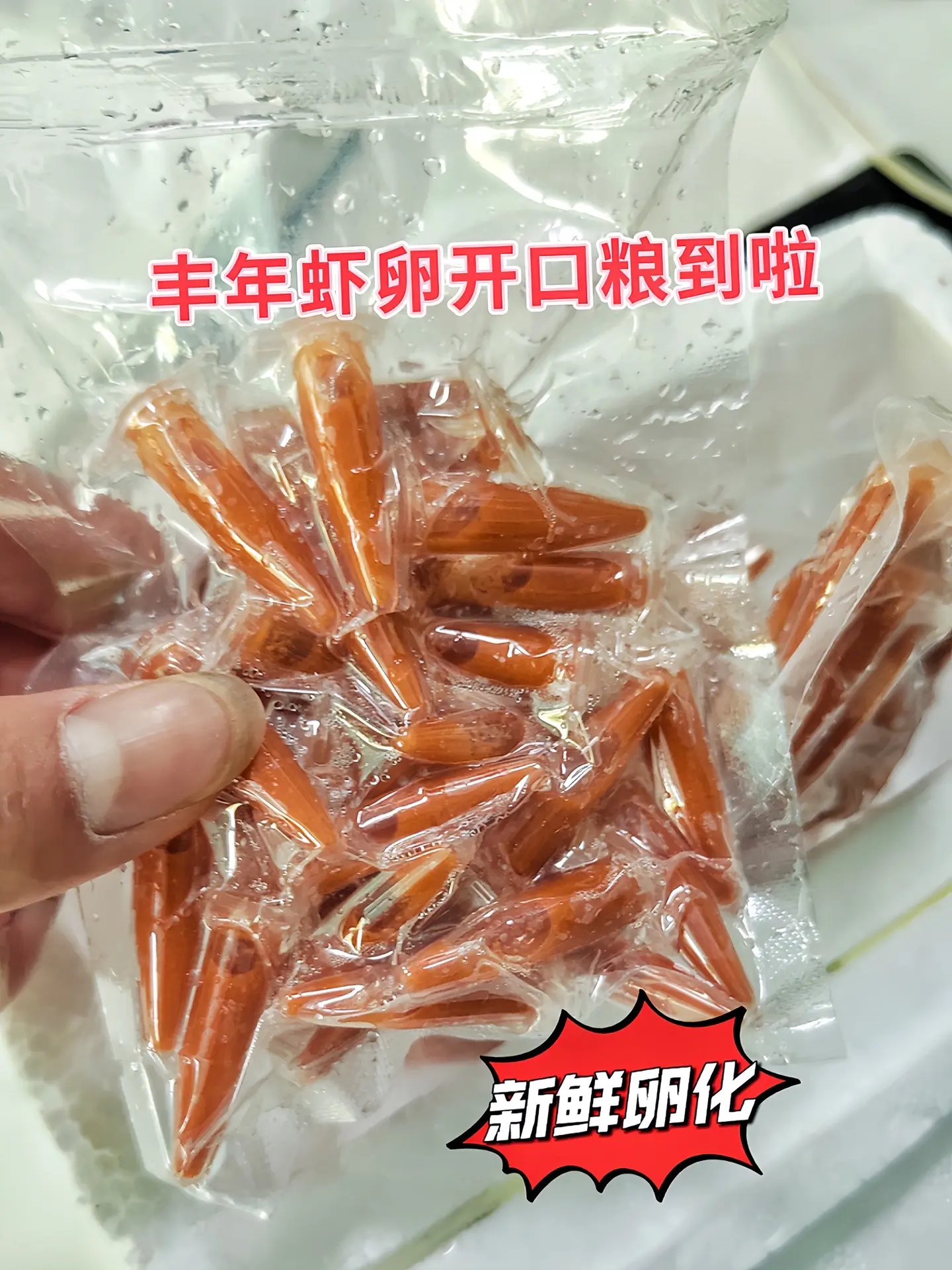 养鱼新手和老手都别错过！这款丰年虾卵开口粮，新鲜度拉满，富含高蛋白质与...