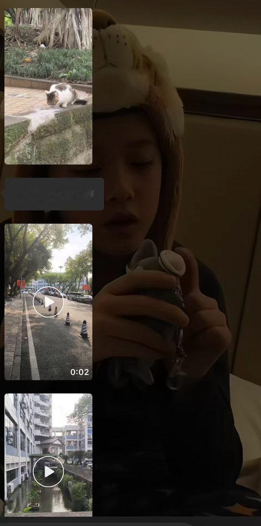 重庆大学的小猫猫 ​​​