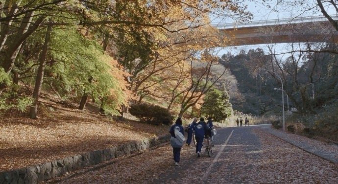 后来才明白，要过上简单、安逸、自由的生活， 前提依然是得赚到足够令你安心的钱。 