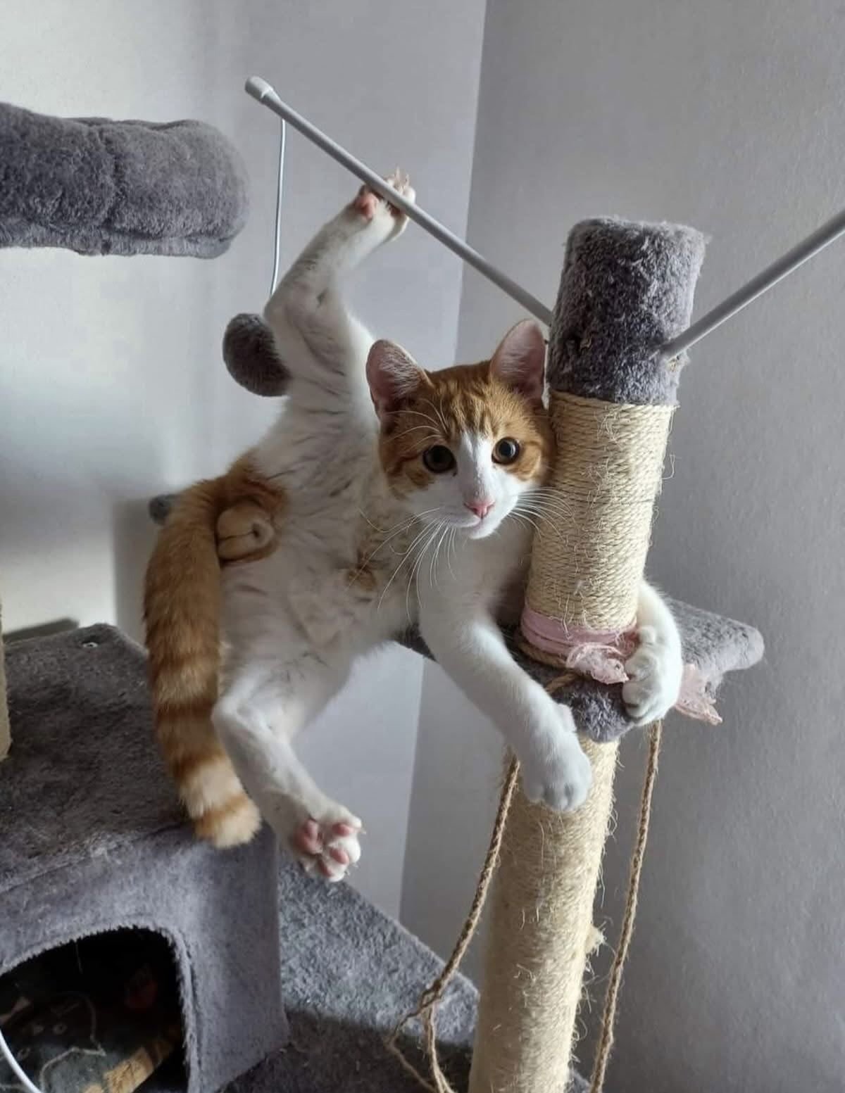 拉伸一下 ​​​
