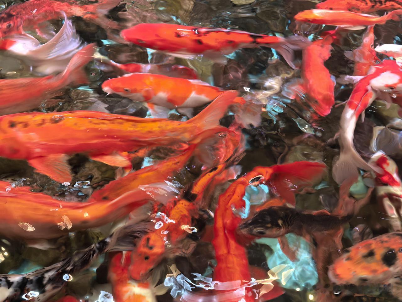 坐出租时，遇到位爱说话的东北大哥，张口就问：今天吃面条没？把我和家人问得一楞。