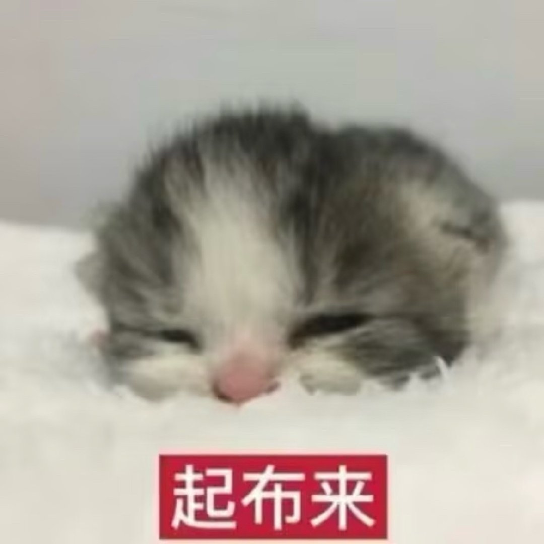 分享图片 ​​​