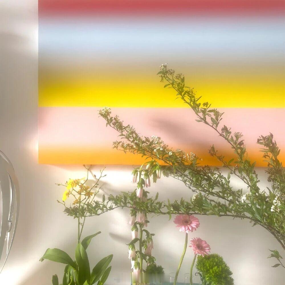 我没有做任何决定，我们之间，永远由你决定。——咬枝绿《空白页》早安 言情小说推荐