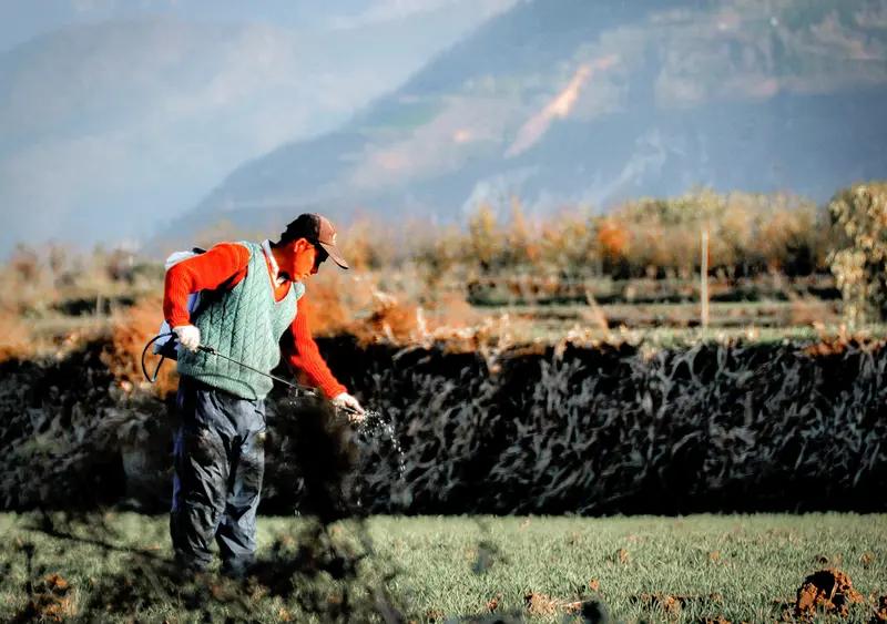 62岁的土壤学家李世清教授于近日逝世，他是中国农业科学领域的杰出人物，以其卓越的