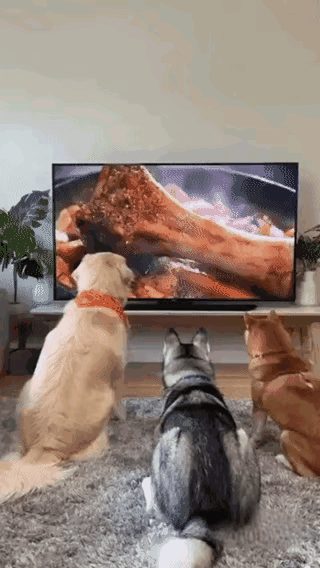 这个真不能怨狗子，毕竟谁能拒绝美食的诱惑呢？😂