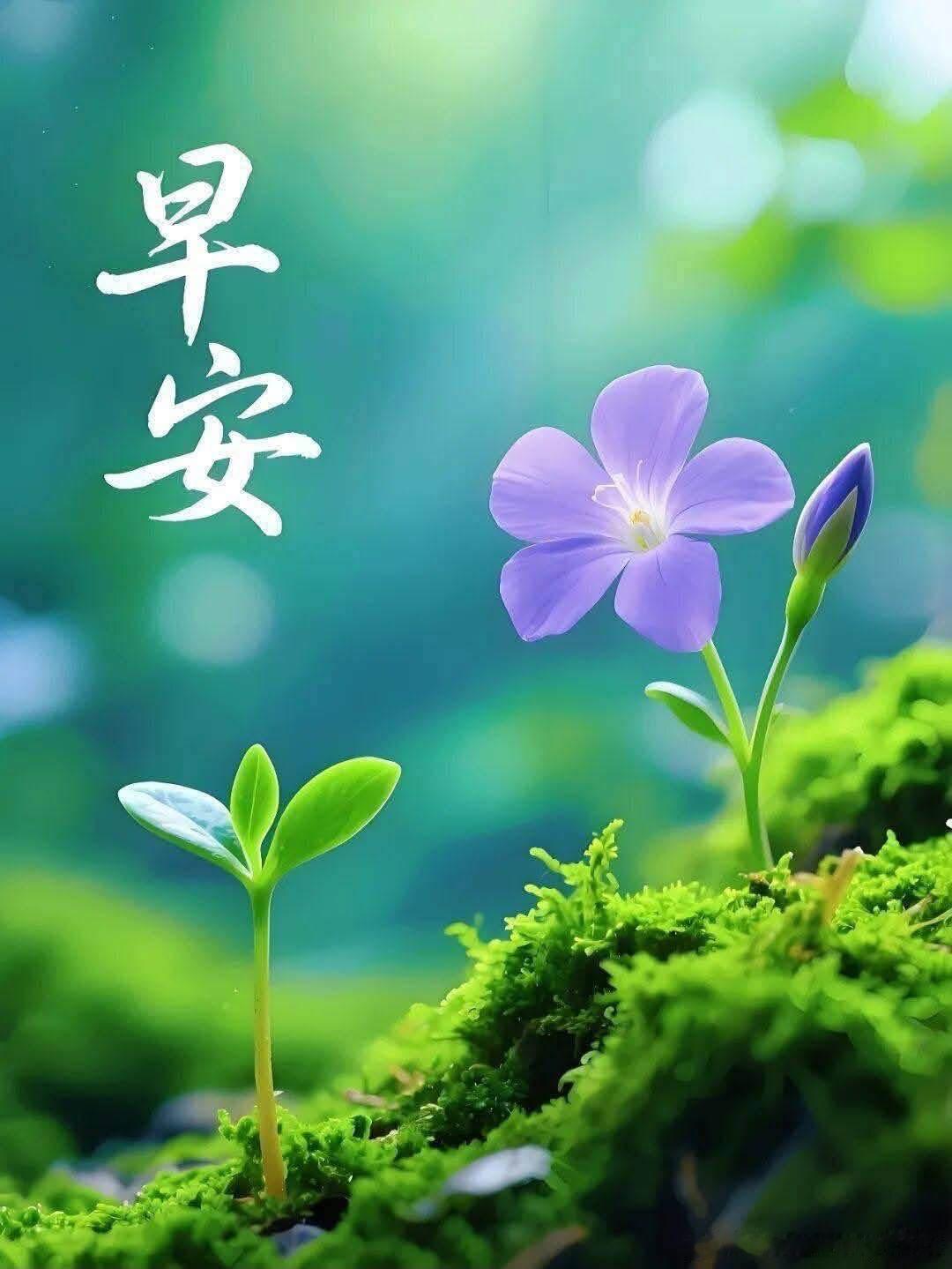早晨 