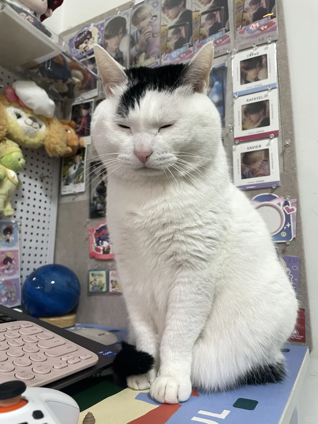 玩了三天♾️暖暖，每天晕每天玩