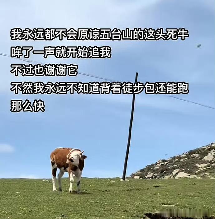 在窝囊和生气中选择了生窝囊气[二哈]下班一乐 ​​​