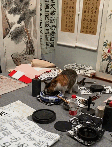 胸无点墨，怎能成为一代宗师？