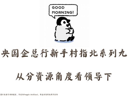 📌央企新手村指北9丨从分资源视角看领导下