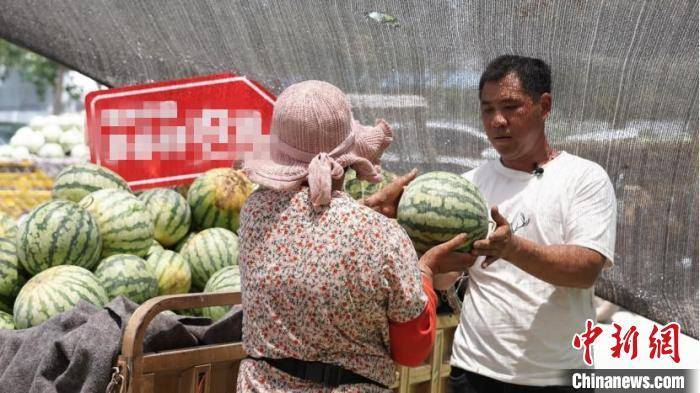 每天拍瓜上万个 验瓜师练就3秒挑西瓜“绝招”