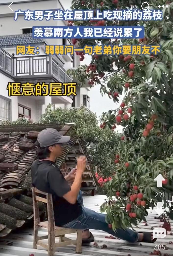 现在，正是荔枝成熟季节。
苏东坡对荔枝是情有独钟。他写诗日啖荔枝三百颗，不辞长作