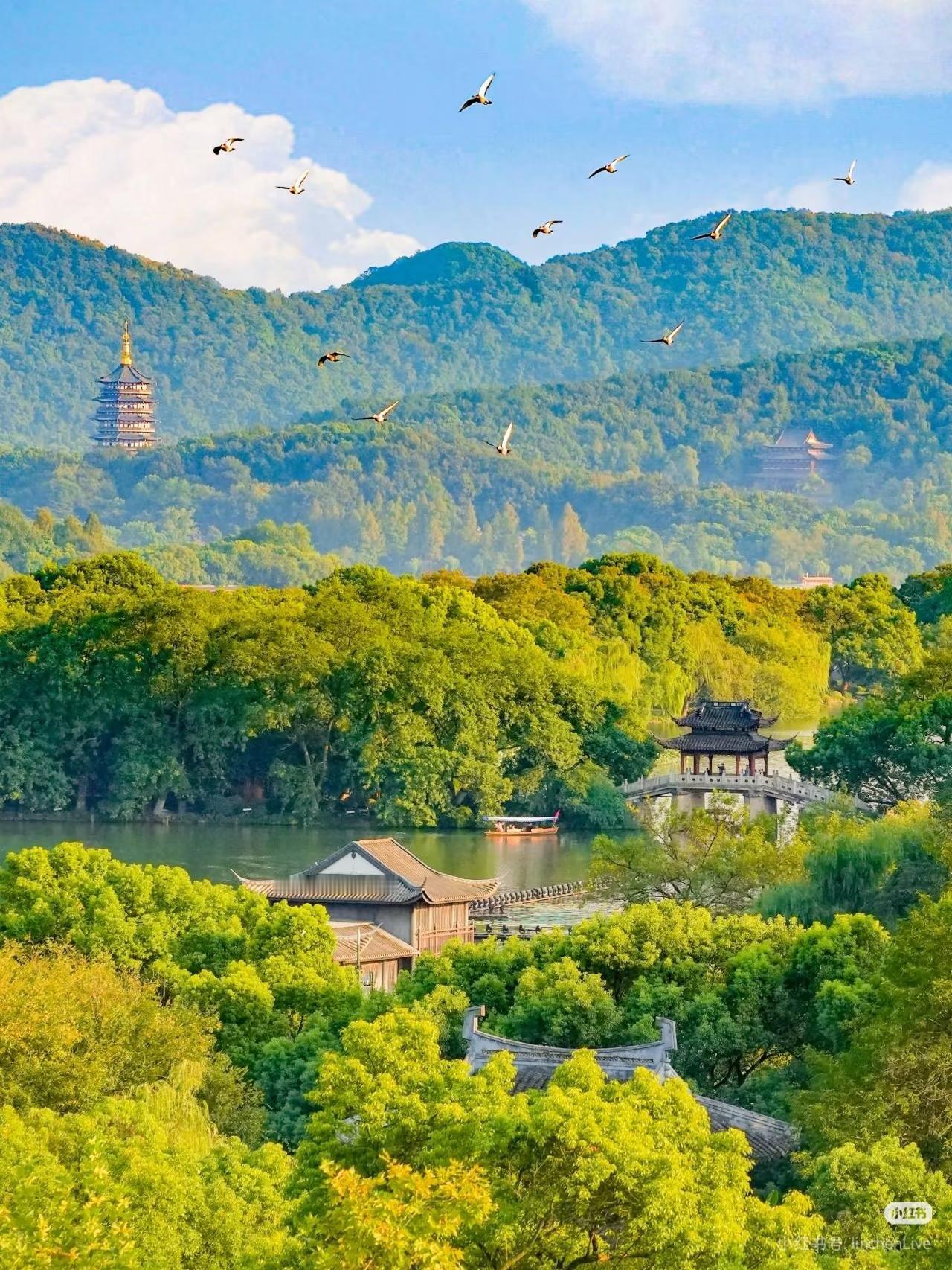 接下来的杭州…堪称秋日旅行天花板！（live版
近期热得被大家调侃
“杭州自从战