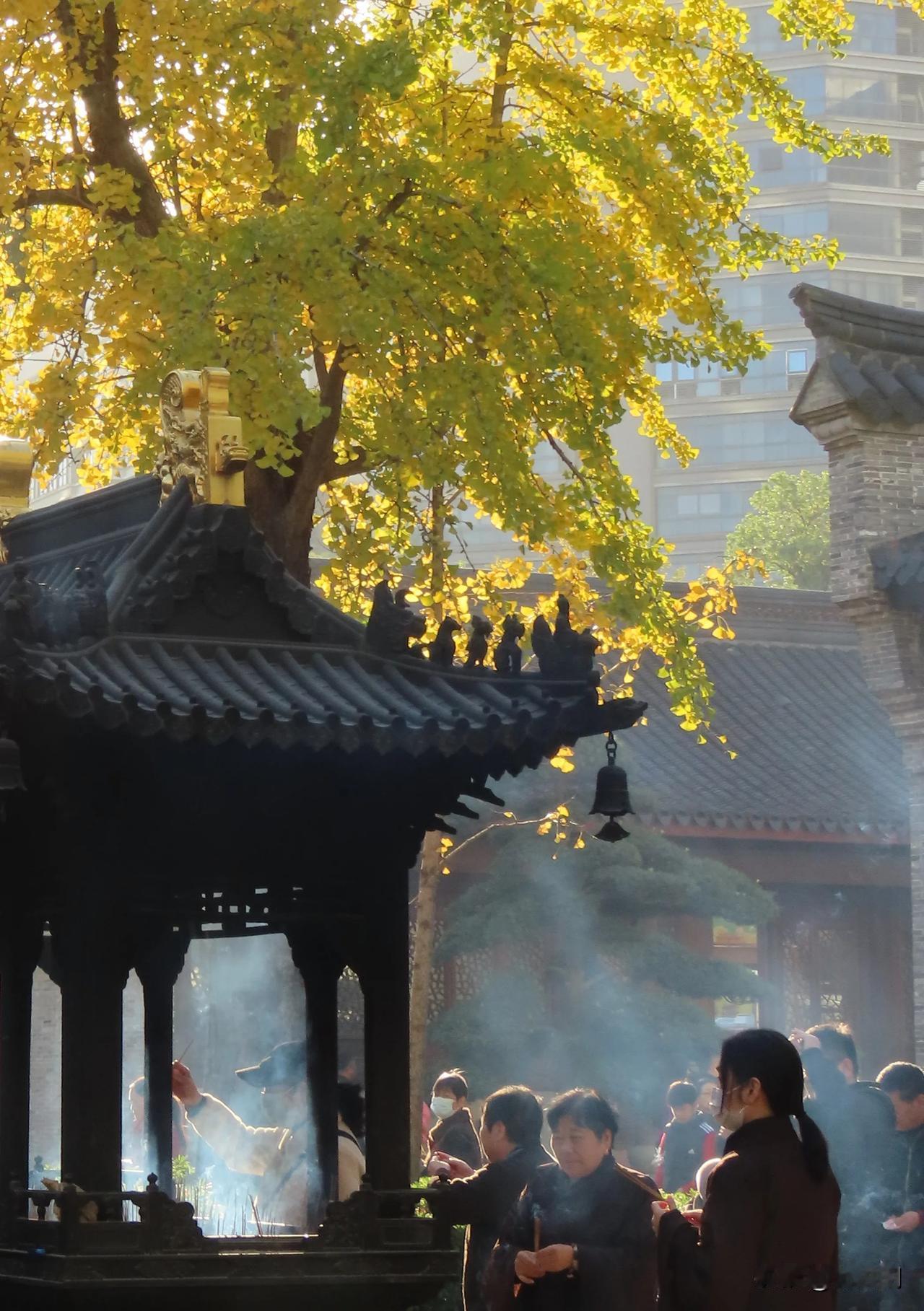 秋日古寺祈福，香火缭绕，宁静祥和。🍂🙏
七塔寺