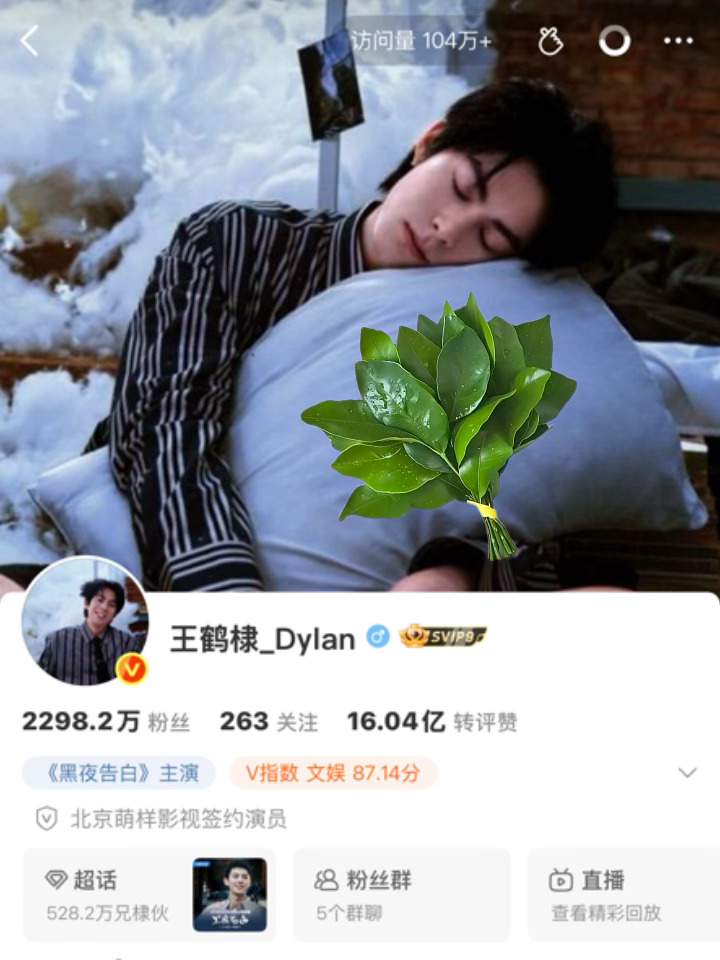 曝王鹤棣保镖当众殴打女粉🧣真的是对ss最好的平台，永远会亲切地称ss这种人人喊