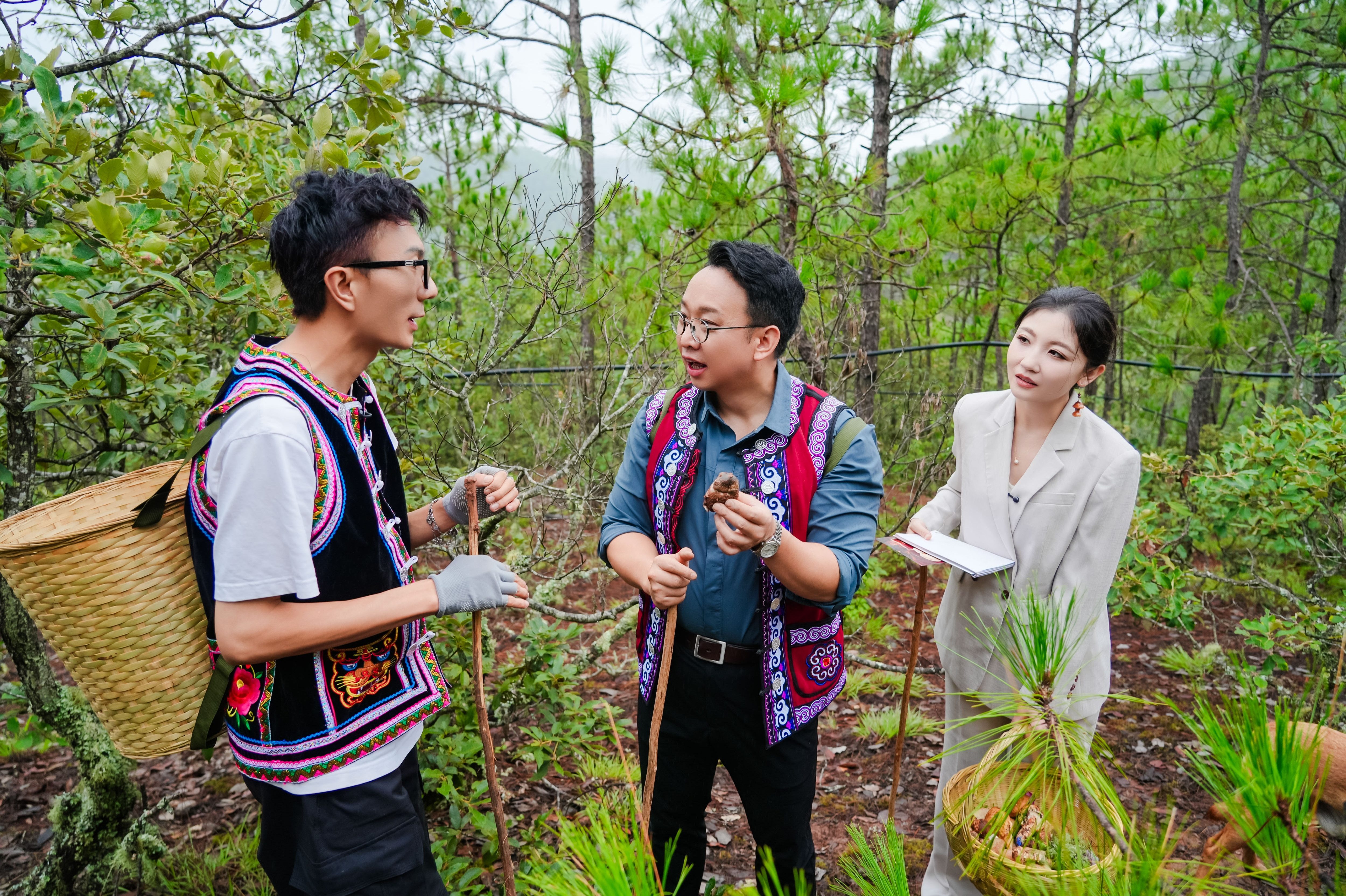 8月1日，云南菌子季，没有常规的新品宣讲，格力“千煲宴”直接落地有着“野生菌王国