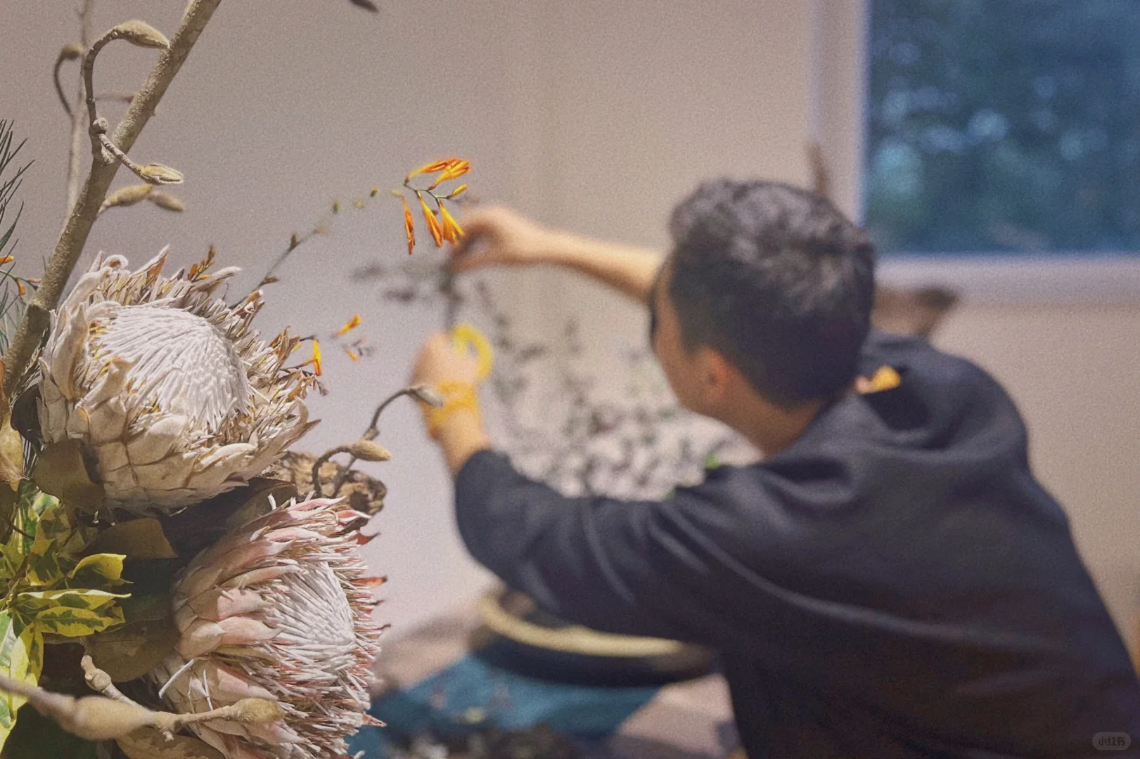 不期而遇的美好