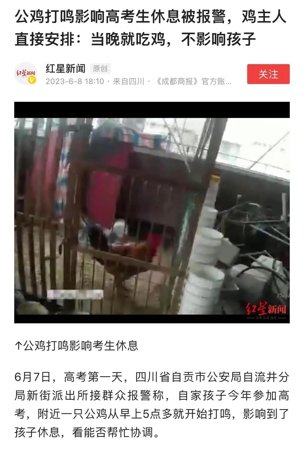 四川自贡，一只公鸡怎么也没想到，自己兢兢业业打鸣，结果被邻居投诉影响高考生休息，