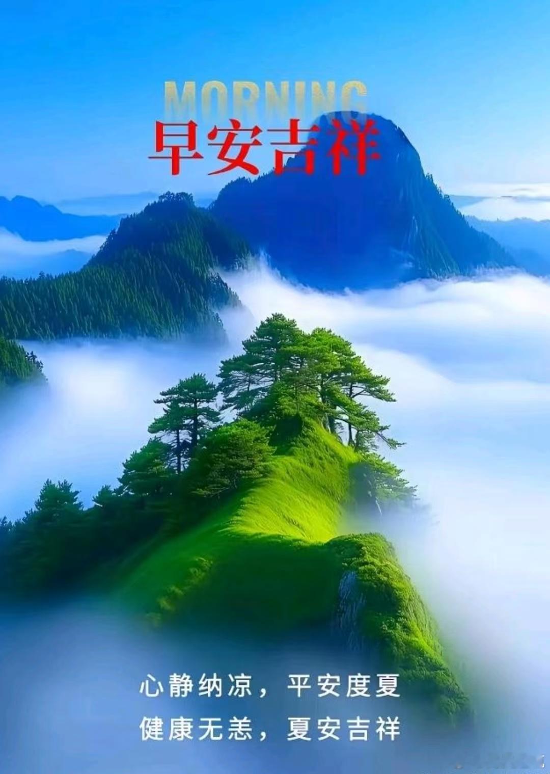 每天摸鱼打卡[太阳]金秋的花朵，处处飘香；人生的缘分，永远不忘； 满满的祝福，真