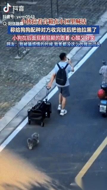 800块钱，刚转过去，人没了。
江苏一个小区里，俩邻居约好给狗配种。钱是小伙爽快