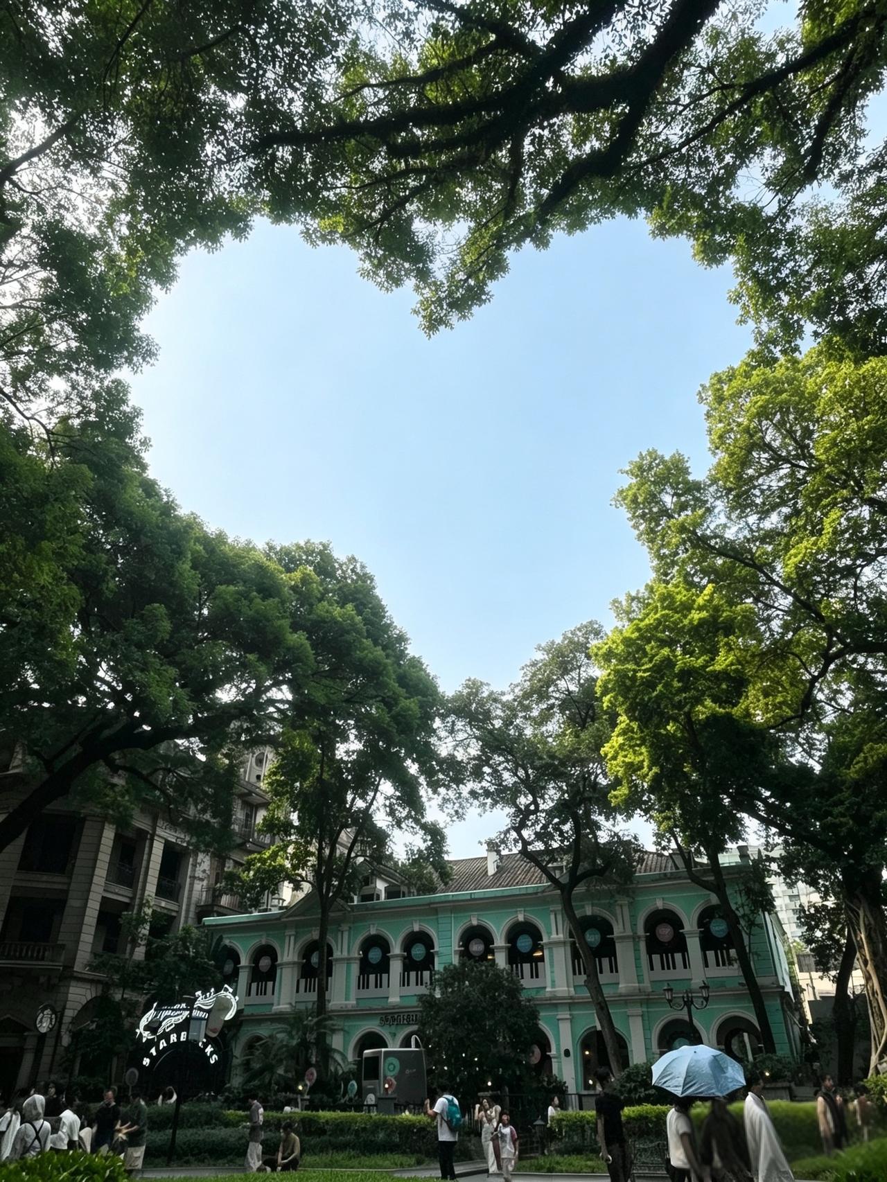 沙面爱心树 沙面岛