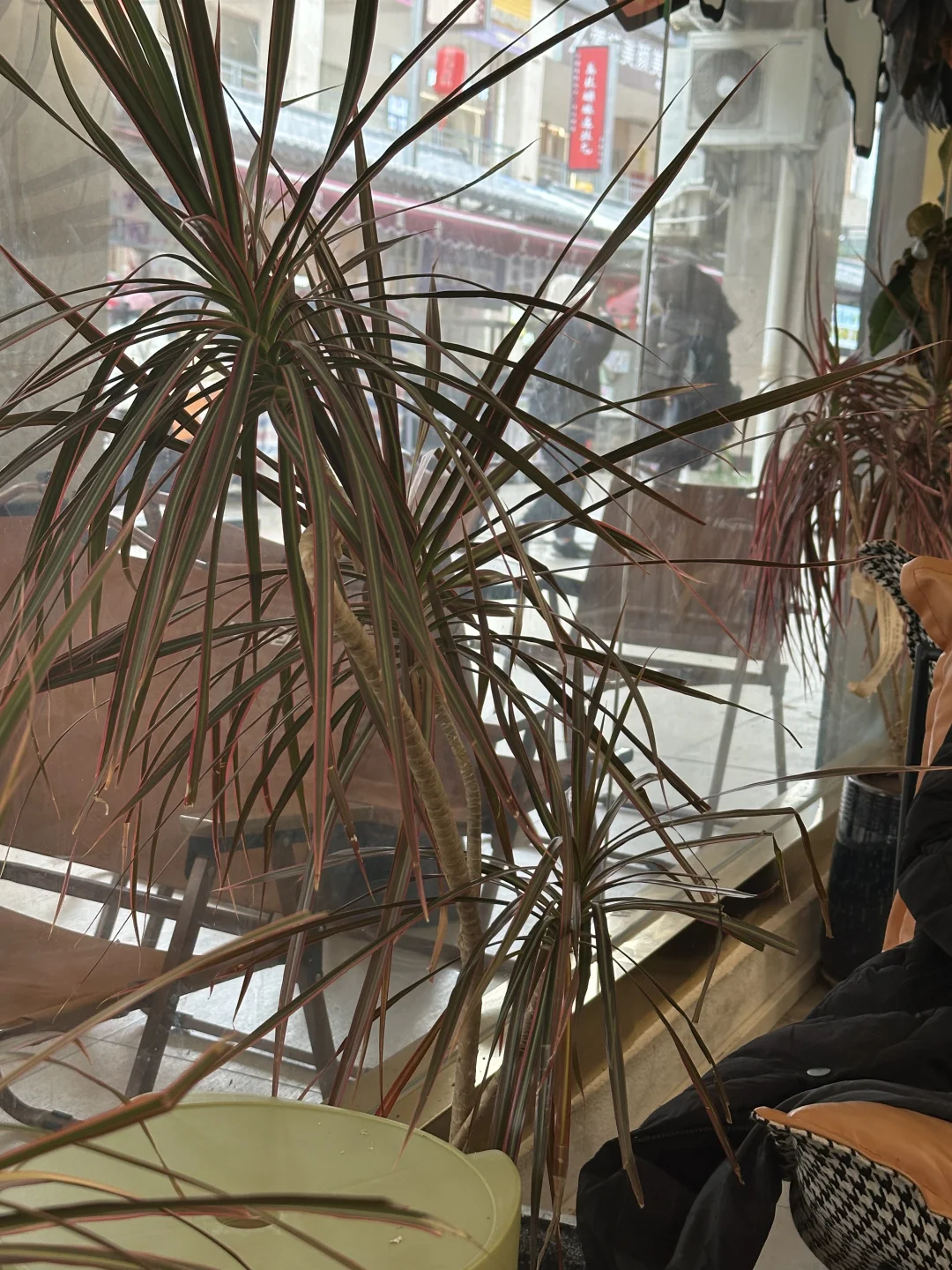 别和宝妈走太近，我真的后悔了 以前我不信“不要和小区宝妈走太近，不要和...