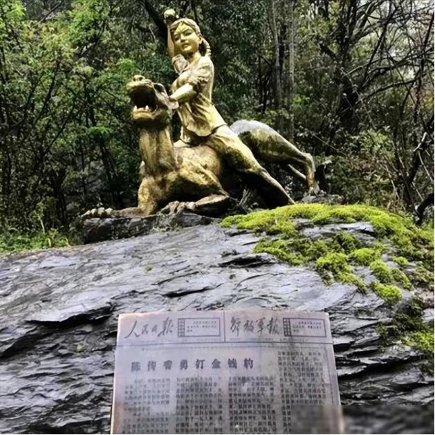 1975年，湖北神农架，几名妇女正在田里干农活的时候，一位妇女突然因为内急跑向了