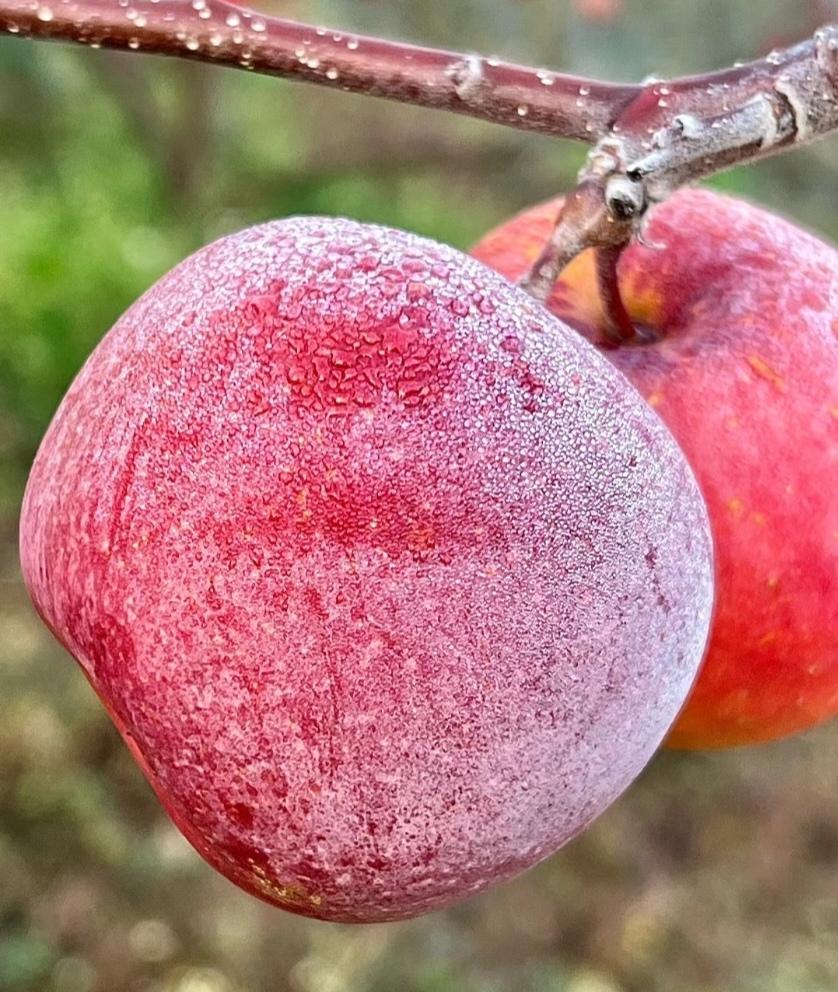 牢A的中国女留学生“一通三达”的言论太让人震惊了，简直让人不敢相信，但他举出的例