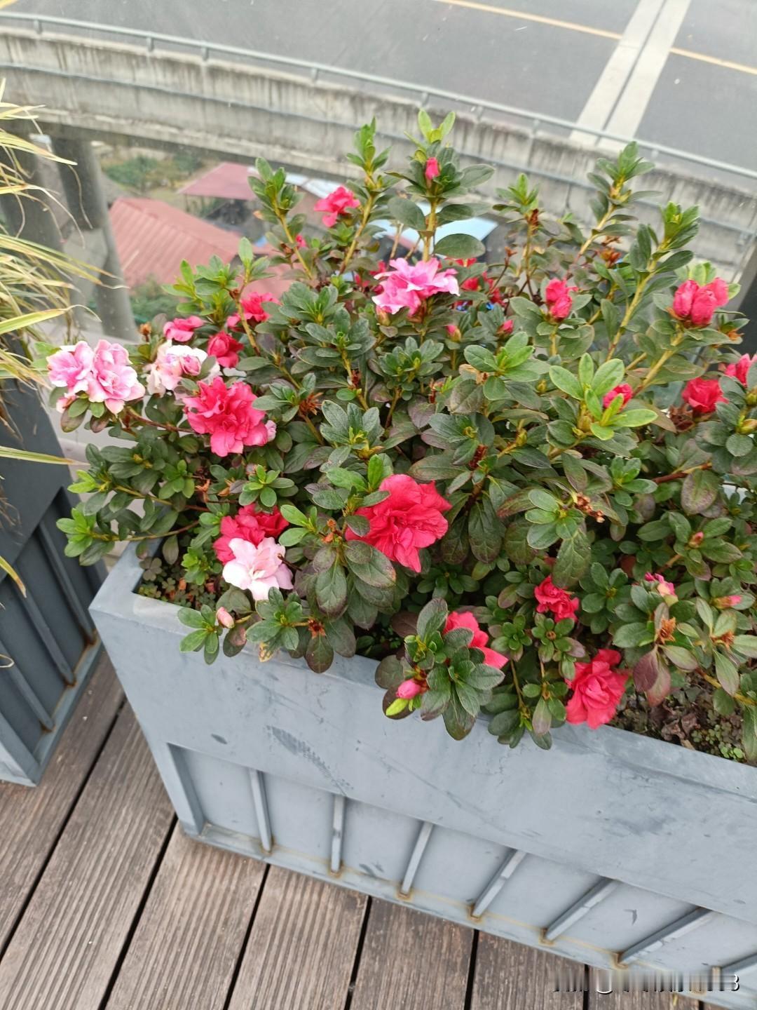 现实中厚道的老实人是不是总吃亏某些方面吃亏。但守住了底线，上天会回赠另一种回报。